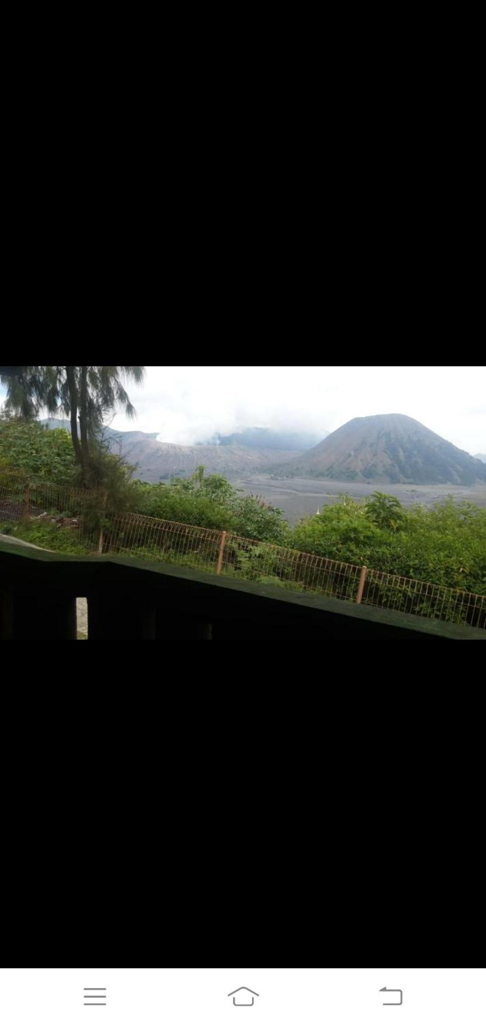 Cemara Indah Hotel Bromo Habitación foto